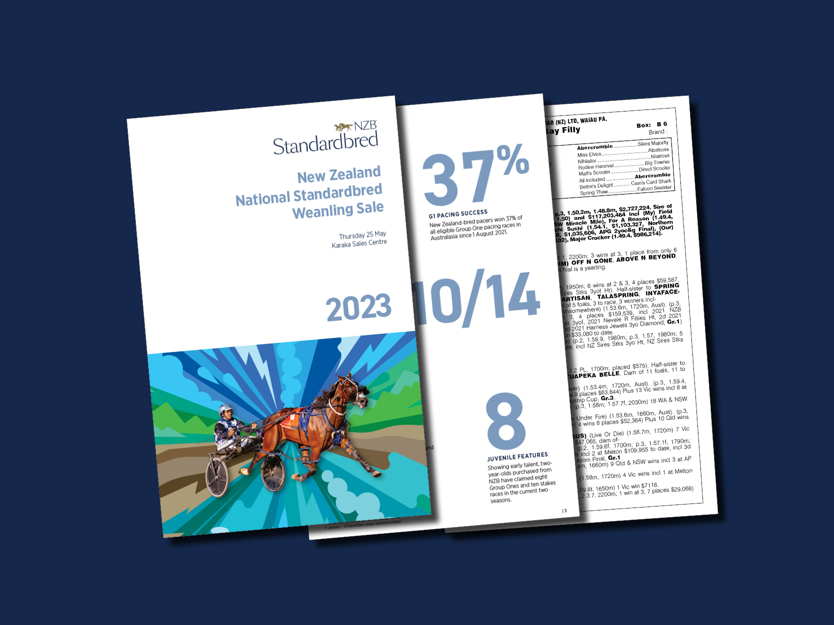 2023 National Standardbred Weanling Sale catalogue