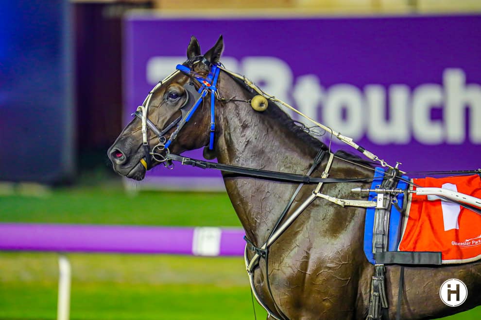 Benji winning at Gloucester Park